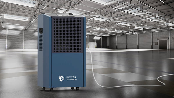 Die Gefahren von Schimmel und Gegenmaßnahmen