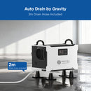 75L Commercial Dehumidifier with Drain Hose for Crawl Spaces&Basements | MOISWELL Explorer UK50