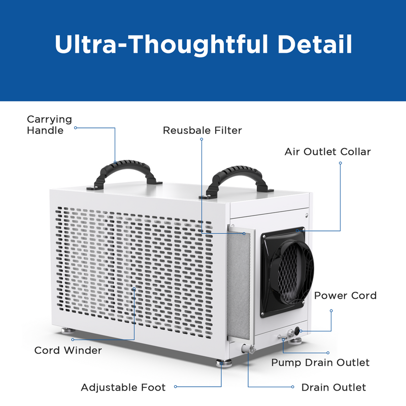 145 Pints Crawl Space Dehumidifier with Pump and Drain Hose | MOISWELL Defender MP70
